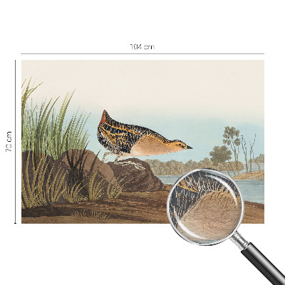 Tapet foto Apă turcoaz