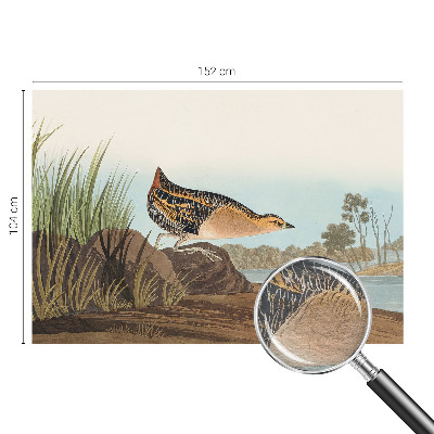 Tapet foto Apă turcoaz