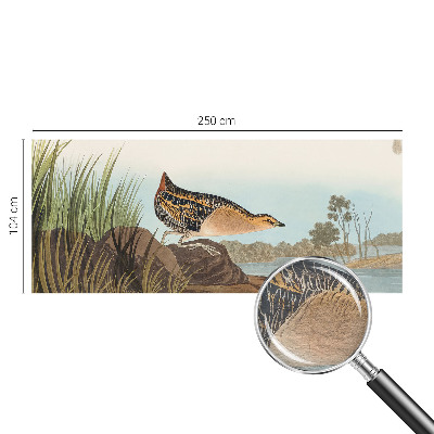 Tapet foto Apă turcoaz