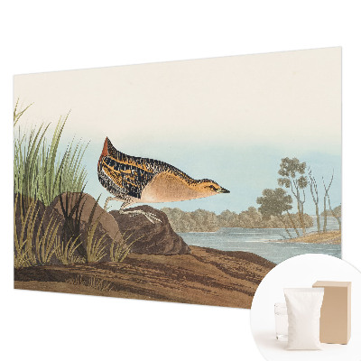 Tapet foto Apă turcoaz