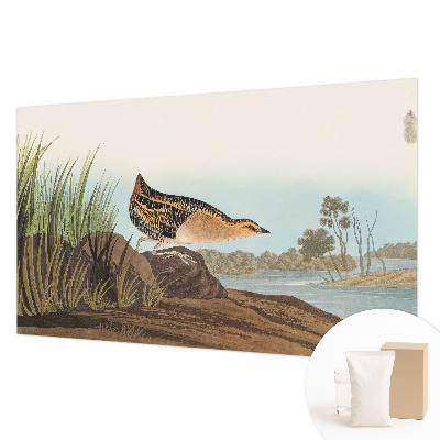 Tapet foto Apă turcoaz