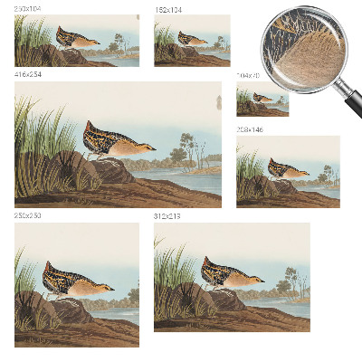 Tapet foto Apă turcoaz