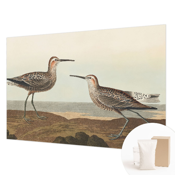 Fototapet la comandă pentru living Fuglesilhuetter