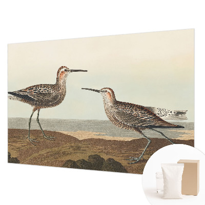 Fototapet la comandă pentru living Fuglesilhuetter