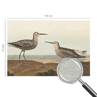 Fototapet la comandă pentru living Fuglesilhuetter