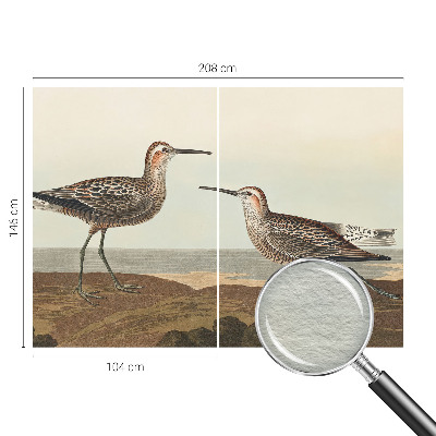 Fototapet la comandă pentru living Fuglesilhuetter