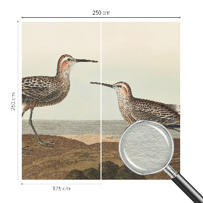 Fototapet la comandă pentru living Fuglesilhuetter