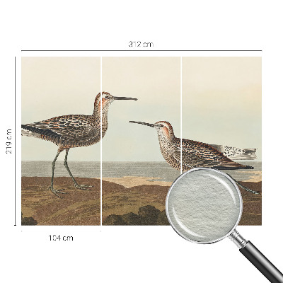 Fototapet la comandă pentru living Fuglesilhuetter