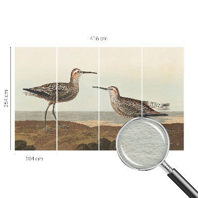 Fototapet la comandă pentru living Fuglesilhuetter