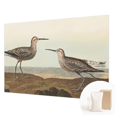 Fototapet la comandă pentru living Fuglesilhuetter