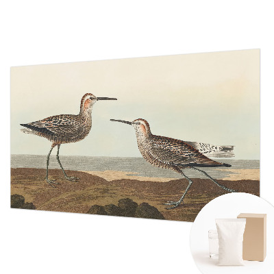 Fototapet la comandă pentru living Fuglesilhuetter