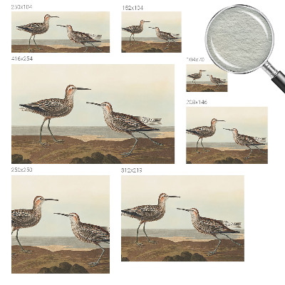 Fototapet la comandă pentru living Fuglesilhuetter