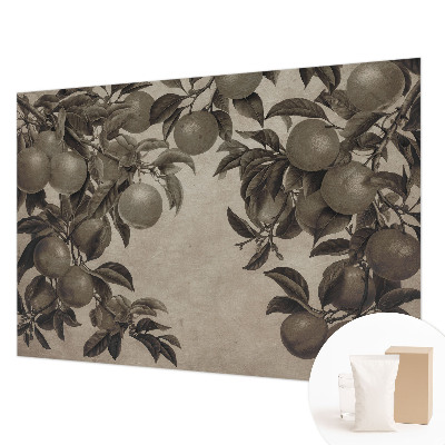 Fototapet pentru dormitor Elefanți de familie