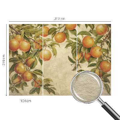 Fototapet Orhidee clasice