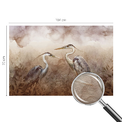 Tapet foto Pasiunea pentru fotografie