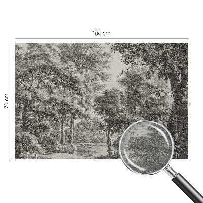 Fototapet vlies Natură colorată