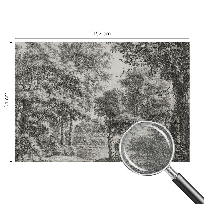 Fototapet vlies Natură colorată