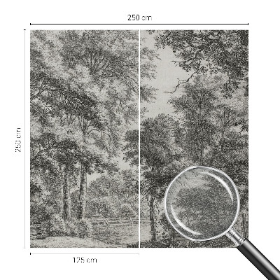 Fototapet vlies Natură colorată