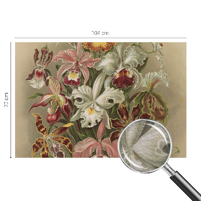 Fototapet modern la comandă Întâlnire spirituală