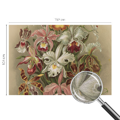 Fototapet modern la comandă Întâlnire spirituală