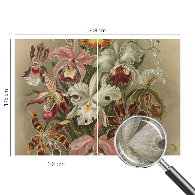 Fototapet modern la comandă Întâlnire spirituală