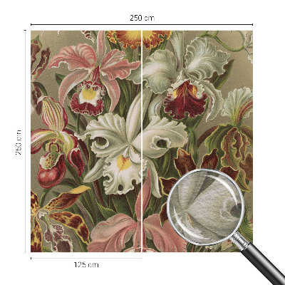 Fototapet modern la comandă Întâlnire spirituală