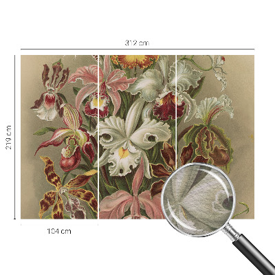 Fototapet modern la comandă Întâlnire spirituală