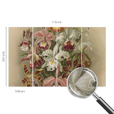 Fototapet modern la comandă Întâlnire spirituală