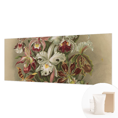 Fototapet modern la comandă Întâlnire spirituală