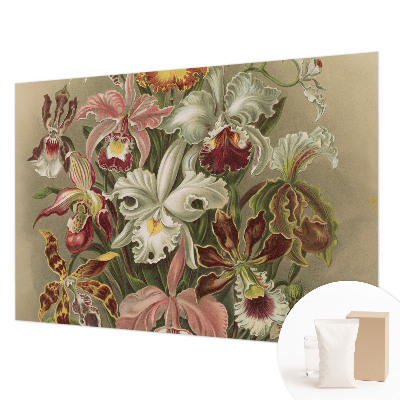 Fototapet modern la comandă Întâlnire spirituală