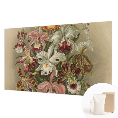 Fototapet modern la comandă Întâlnire spirituală