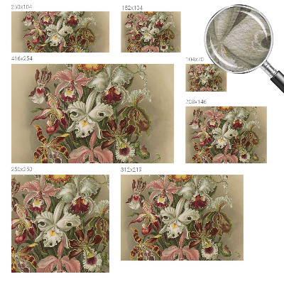 Fototapet modern la comandă Întâlnire spirituală