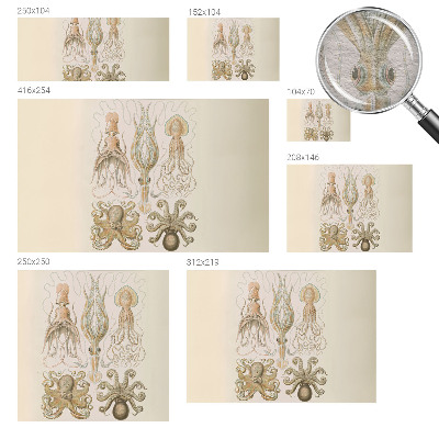 Fototapet pentru living Pescar vânător