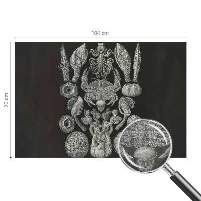 Fototapet pentru dormitor Scenă satului