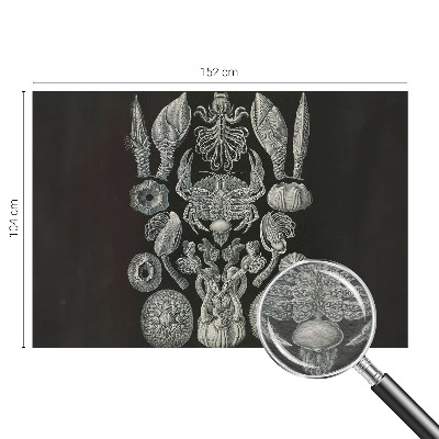 Fototapet pentru dormitor Scenă satului