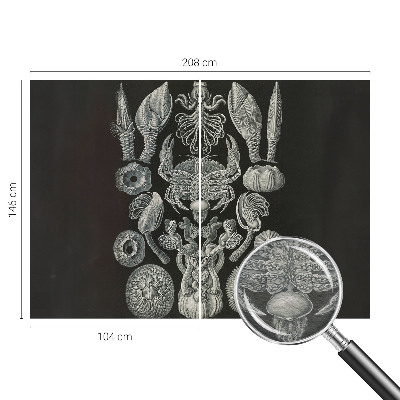 Fototapet pentru dormitor Scenă satului