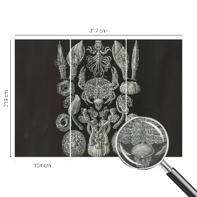 Fototapet pentru dormitor Scenă satului