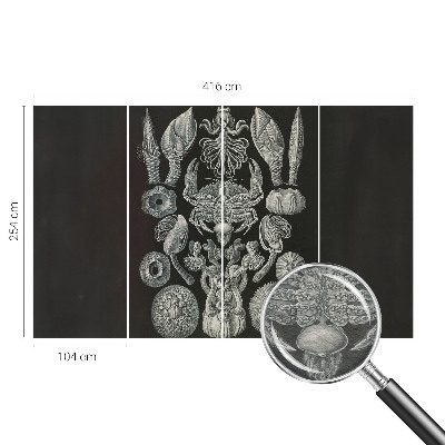 Fototapet pentru dormitor Scenă satului