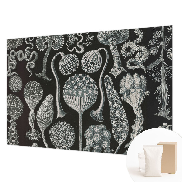 Fototapet Abstracție stelară