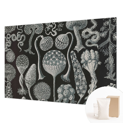 Fototapet Abstracție stelară