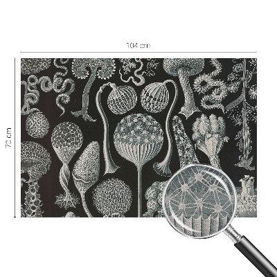 Fototapet Abstracție stelară