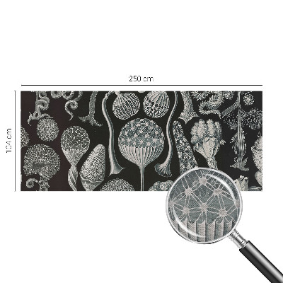 Fototapet Abstracție stelară