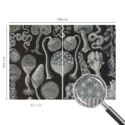 Fototapet Abstracție stelară