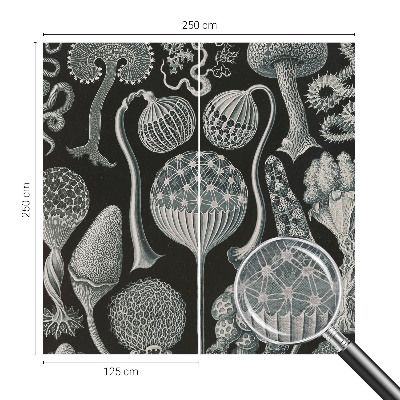 Fototapet Abstracție stelară