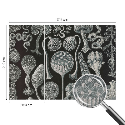 Fototapet Abstracție stelară