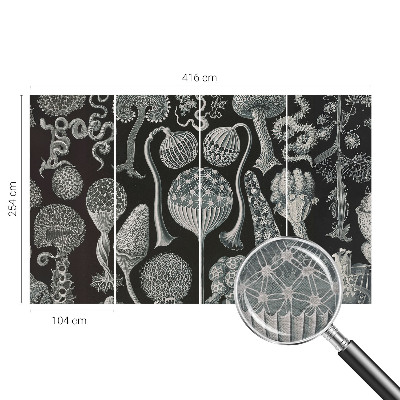 Fototapet Abstracție stelară