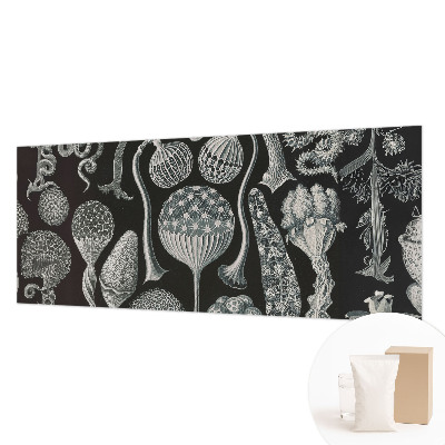 Fototapet Abstracție stelară