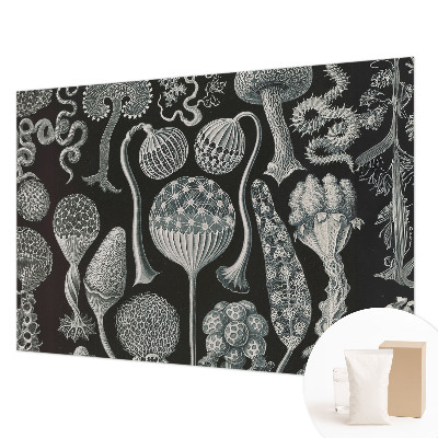 Fototapet Abstracție stelară