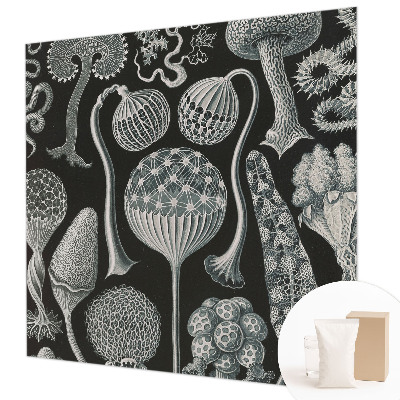 Fototapet Abstracție stelară