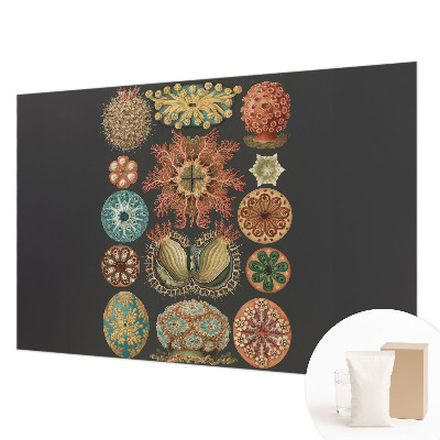 Fototapet pentru living cu design Havinspirationer